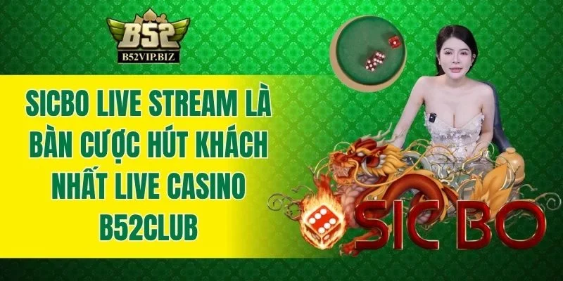 Sicbo live stream là bàn cược hút khách nhất live casino B52club